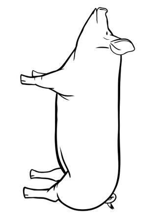 Sketch of a pig on a white background. Vector illustrationの写真素材