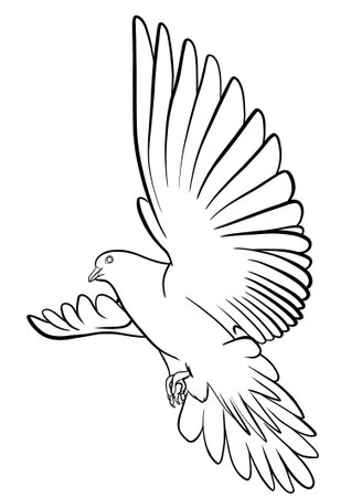 Pigeon flying in the air. Vector illustration ready for vinyl cutting. Coloring pageの写真素材