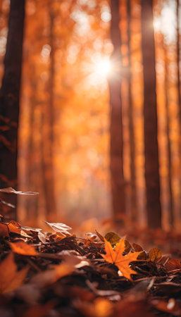 Autumn leaves in the forest with sun rays and bokehの素材