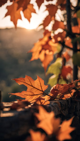Autumn leaves on a tree trunk in the rays of the setting sunの素材