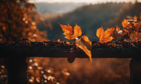 Autumn leaves on the fence in the forest. Beautiful nature backgroundの素材