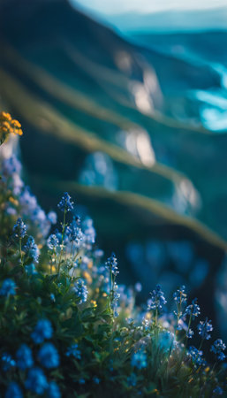 Beautiful blue flowers in the mountains. Nature background, soft focusの素材