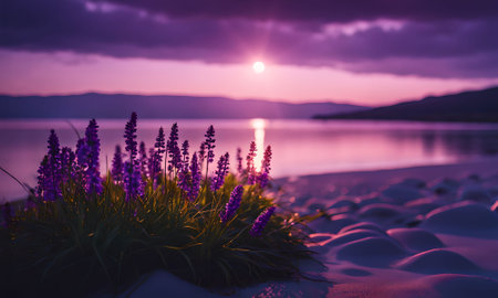 Lavender flowers on the shore of a lake at sunset.の素材