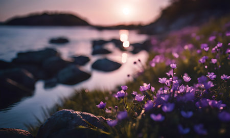 Beautiful purple flowers on the coast of the sea at sunset.の素材