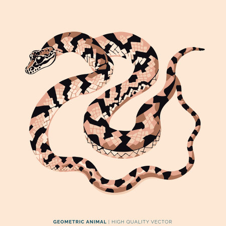 Vector image of a snake in the style of a collage.のイラスト素材