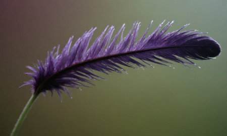 Purple feather on a green background close-up macro photography.の写真素材