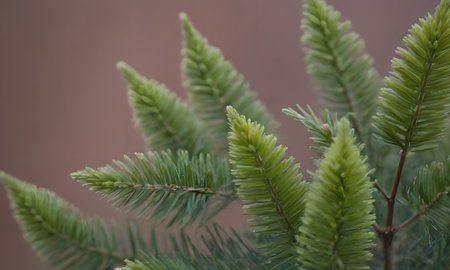 Fir tree branch with green needles close-up on brown background