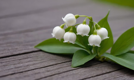 Lily of the valley flowers on wooden background with space for textの写真素材