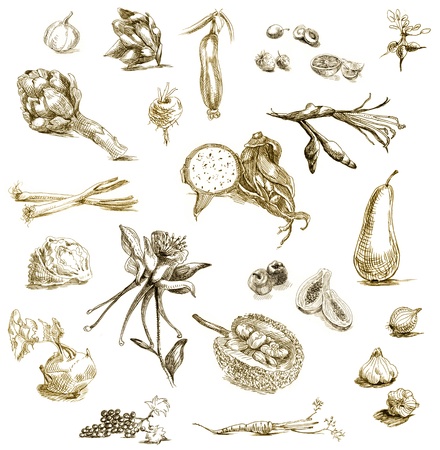 gardening - hand drawingの写真素材