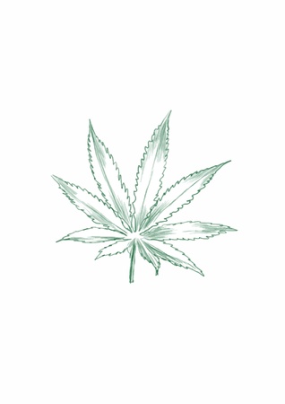 marijuana leafのイラスト素材