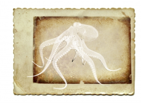vintage collage with 3D render, octopusの写真素材