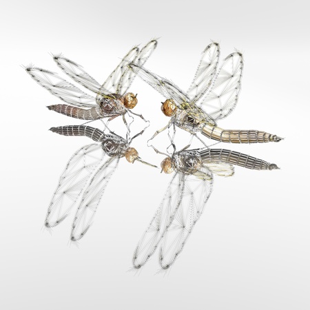 dragonflies - cg pictureの写真素材