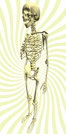 Illustration No. III, shaded human skeleton, realistic approachのイラスト素材