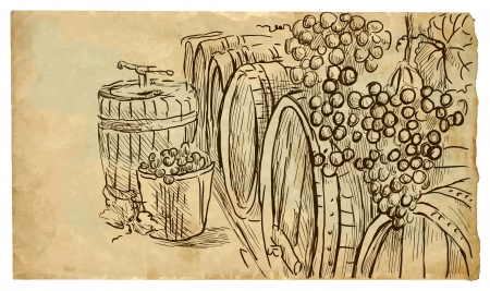 wine cellar のイラスト素材