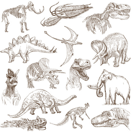 Dinosaur Silhouetteの写真 イラスト素材一覧 10 8件 ストックフォトのamanaimages Plus