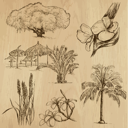 Flowers and Trees around the World のイラスト素材