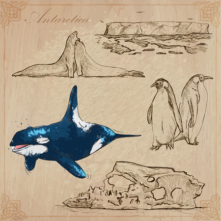 Travel series: POLAR REGIONS - ANTARCTICA (set no.1)  - Collection of an hand drawn vector illustrations. Each drawing comprise three layers of lines, the colored background is isolated. Editable in layers and groups.のイラスト素材