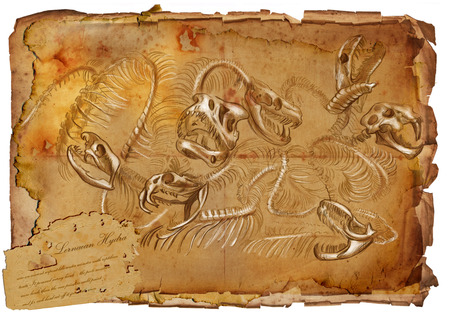 Illustration of a series of legendary animals and monsters (skeleton): Lernaean HYDRA. An hand drawn...