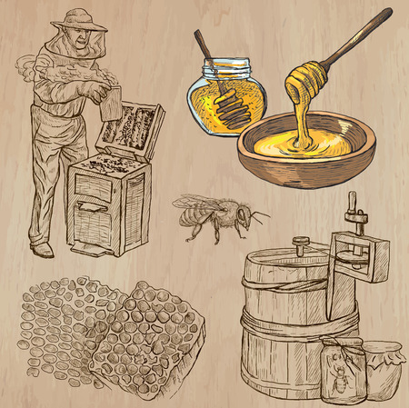 BEES, BEEKEEPING and HONEY. Collection of an hand drawn vector illustrations (pack no.5). Each drawing comprises of three or four layers of lines, the colored background is isolated.のイラスト素材