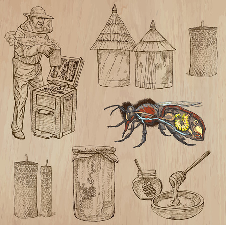 BEES, BEEKEEPING and HONEY. Collection of an hand drawn vector illustrations (pack no.8). Each drawing comprises of three or four layers of lines, the colored background is isolated.のイラスト素材