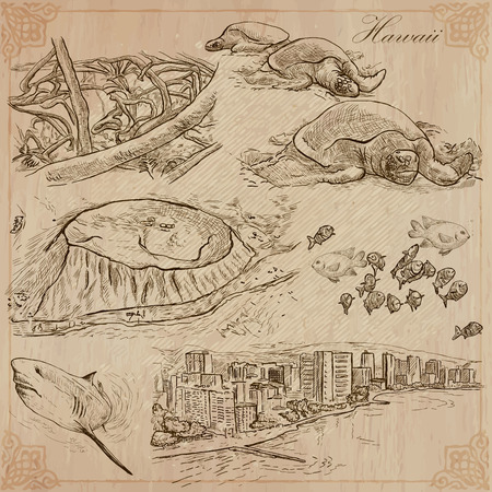 Travel: HAWAII USA no.4. Collection of an hand drawn vector illustrations. Freehand sketching. Each drawing compris layers of lines. Colored background is isolated. Editable in layers and groups.のイラスト素材