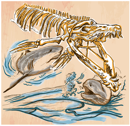 An hand drawn vector - Underwater PREHISTORY. Tylosaurus skeleton, Shark and Giant Moray - colored line art. Vector is editable in groups and layers - freehand sketching.のイラスト素材