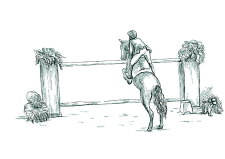 Show Jumping - English riding equestrian. An hand drawn illustration in line art style. Some rider jump on horse over obstacles. Isolated on white.の写真素材
