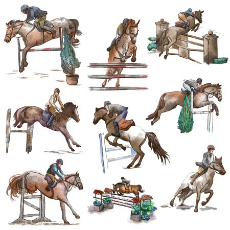 HORSES - Show Jumping. Colored collection of an hand drawn illustrations. Full sized hand drawn illustrations, Originals, drawing on white background. Freehand sketching, Line art.の写真素材