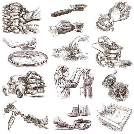 COFFEE. Agriculture. Life of a farmer. Coffee harvesting and processing. Collection of an hand drawing illustrations. Pack of full sized hand drawn illustrations on white. Set of freehand sketches. Isolated drawings.の写真素材