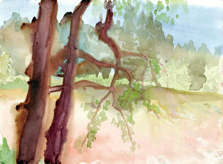 An hand drawn illustration, scanned picture - trees - watercolor techniqueの写真素材