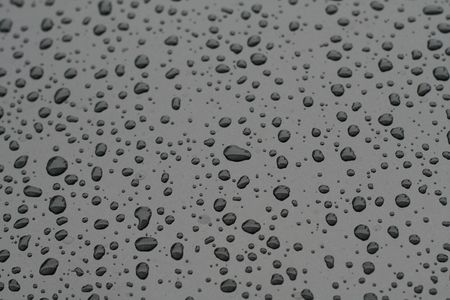 Water Dropsの写真素材