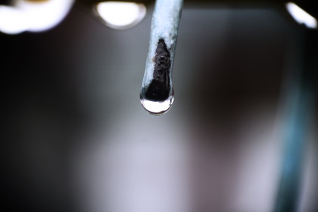 Dew is water in the form of droplets that appears on thin, exposed objects in the morning or...