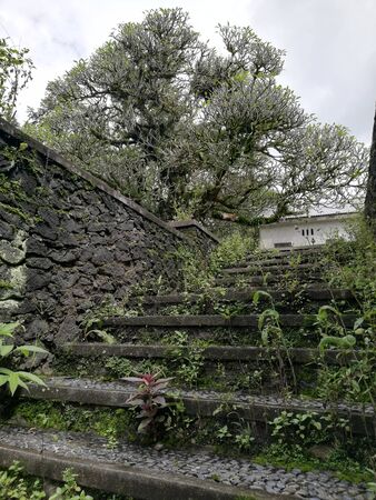 Stone wall and stair steps up to the bungalowの写真素材