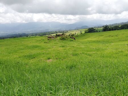 Hike up to the mountain pastureの写真素材