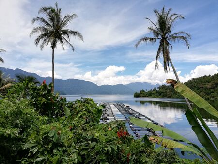 Scenic view of the lake in the morningの写真素材