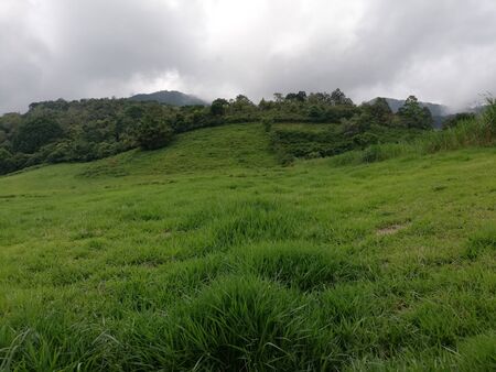 Hike to a mountain pastureの写真素材
