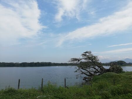 Passing by the lake during sunny dayの写真素材