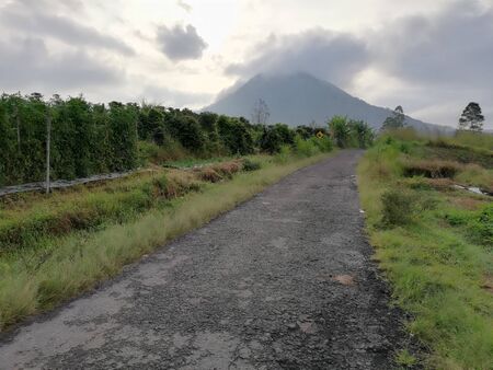 Farm land route to the mountainの写真素材