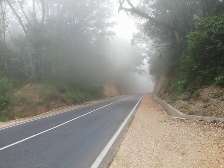 World less traveled route in the mistの写真素材