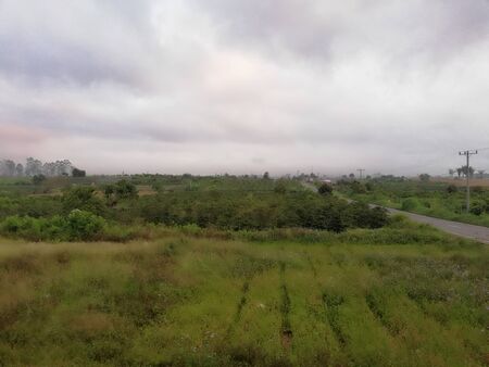 Morning in the farm on the highlandの写真素材