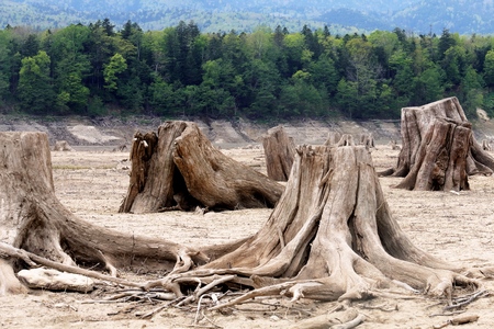 Dry lake bed of Lake Nukabira such as wilderness.の写真素材