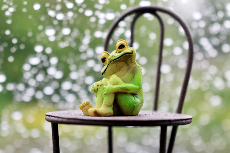 Rain and frogs and chairsの写真素材