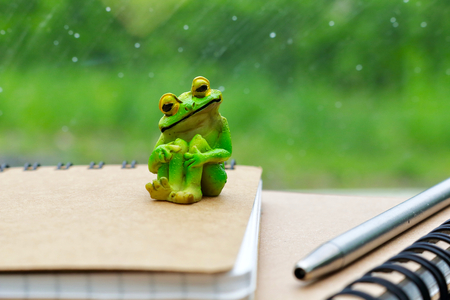 Rain window and note and frogの写真素材