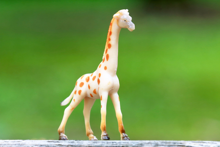 Miniature giraffeの写真素材