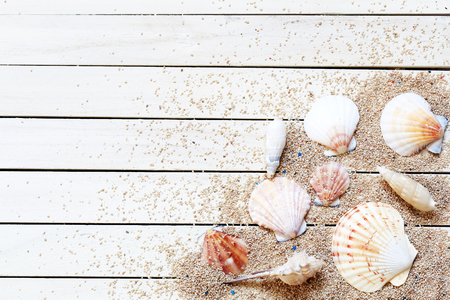 Beach and shell