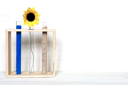 Interior in test tubeの写真素材