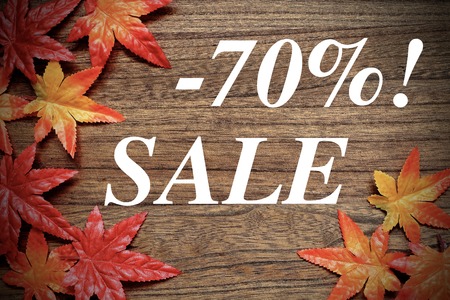 fake Maple Leaves and AUTUMN SALE