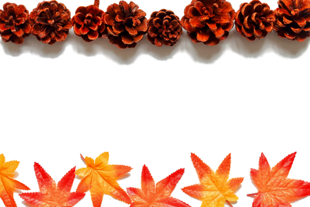 Pine cone and autumn leaves frameの写真素材