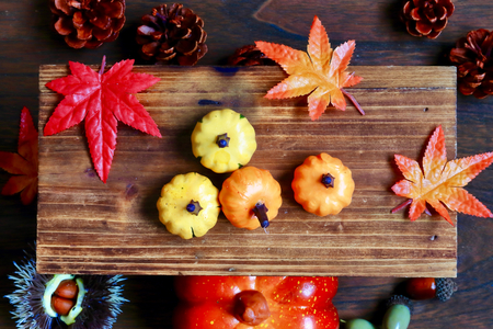 Fall of harvestの写真素材