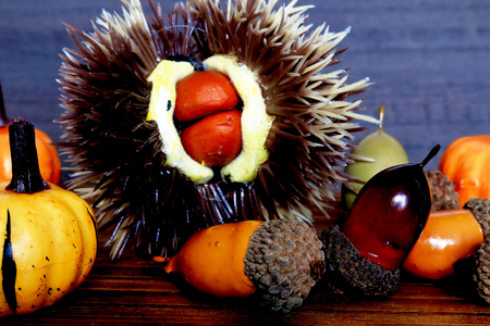 Fall of harvestの写真素材